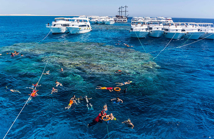 Unveiling the Red Sea's Hidden Gems